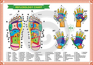 Gamba un mano riflessologia grafico 