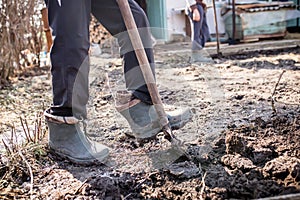 The foot of a hard-working farmer in dirty boots in the garden digs up the soil for planting seeds or seedlings in the