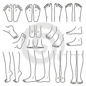 Foot and leg, knee and toe, vector file set