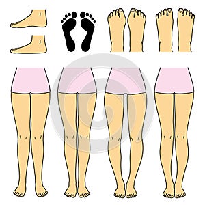 Foot and leg, knock knees, bow legs and normal legs, flat foot, bunion, and normal foot