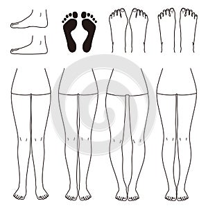 Foot and leg, knock knees, bow legs and normal legs, flat foot, bunion, and normal foot, vector file set