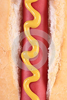 Foot long hot dog