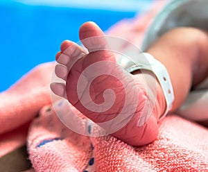 Foot of newborn baby in postpartum care unit in hospital when she sleep with her mother, so cute. photo