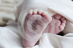 Foot of the newborn 5