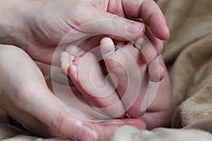 Foot of the newborn 4