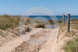 Foot path access beach of island Noirmoutier in vendee France