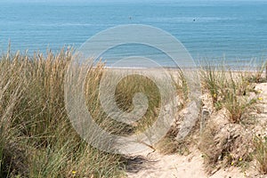 Foot path in beach of island Noirmoutier in vendÃ©e France