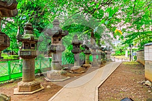 Foot path in the park with Japanese style stone lanterns