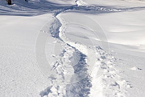 Foot path in winter field, Natural pattern. Winter landscape