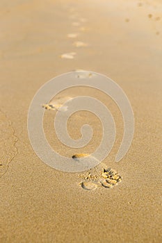 Foot print in the fine sand beach, foot step, evening day light