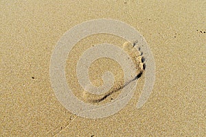 Foot print on sand