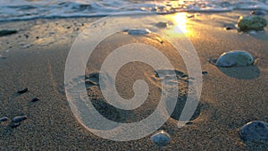 Foot print in the sand