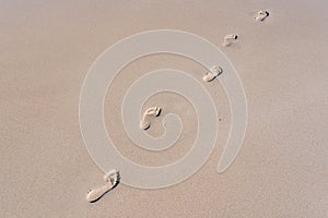 Foot print in sand of beach