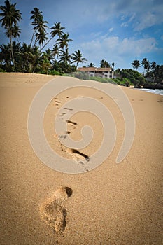 foot print on the sand at the beach