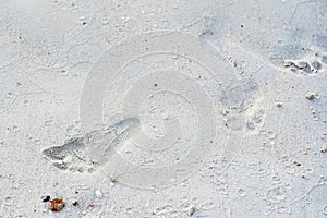 Foot print on sand at beach.Thailand