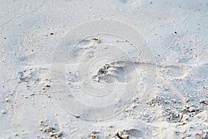 Foot print on sand at beach.Thailand