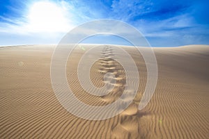 Foot print in Sand dune