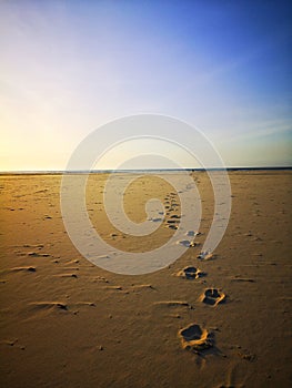 Foot print on the white sandy beach, walking barefoot along the beach.