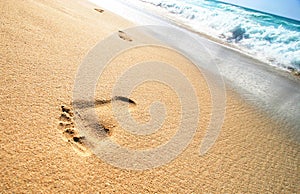 Foot Prints on Beach