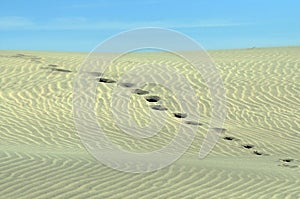 Foot prints going over a sand dune.