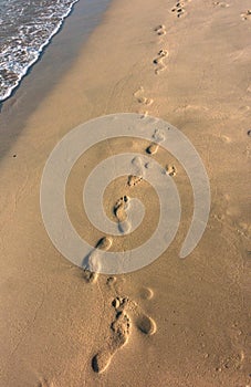 Foot Prints In The Sand