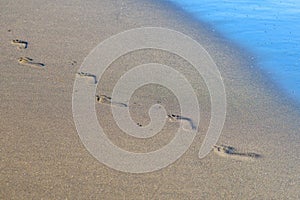 Foot prints in the sand on the beach