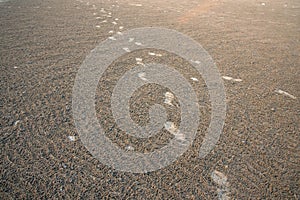 Foot prints on sand beach