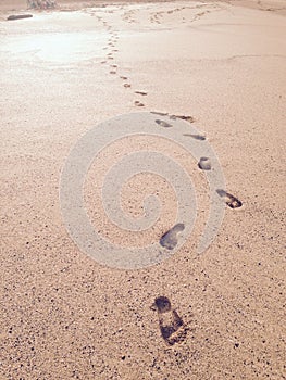 Foot Prints in the Sand