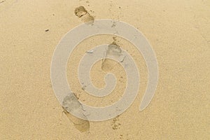 Foot Prints in the Sand
