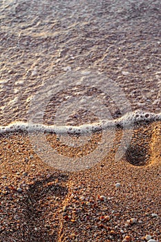 Foot prints in the sand, the sea coast.