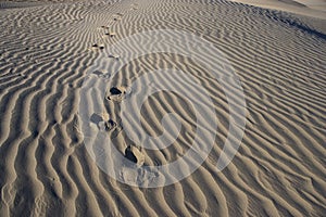 Foot Prints in Sand â€“ Death Valley - Horizontal