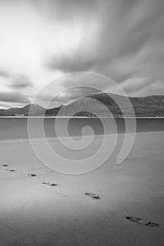 Foot prints on the sandy beach