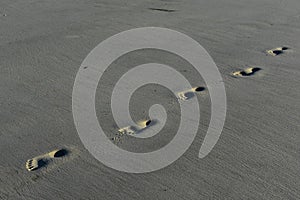 Foot prints on a sandy beach on cape cod