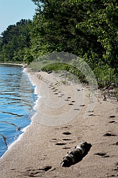 Foot prints on the shore