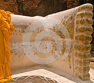 The Foot of reclining buddha