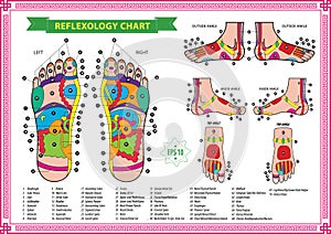 Foot reflexology chart