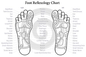 Foot Reflexology Chart Outline