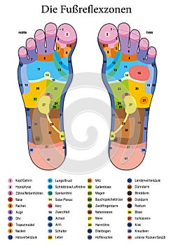 Foot Reflexology Table German Names