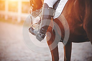 The foot of the rider sitting on the horse is dressed in a boot with a spur and rests on a stirrup, illuminated by sunlight.