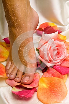 Foot on the silk cloth with rose and rose-