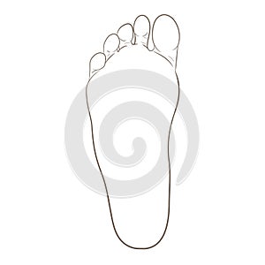 Foot sole contour illustration, realistic style photo