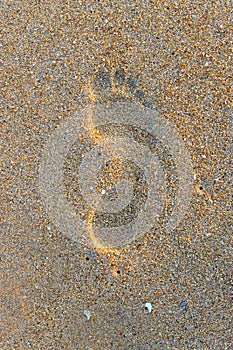 Foot step on beach sand