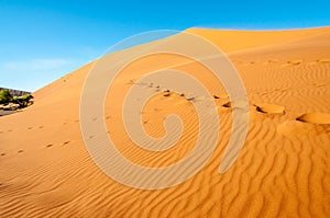 Foot Steps in The Desert