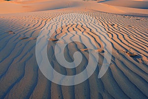 Foot steps at the desert