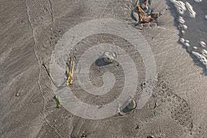 Foot steps in the sand