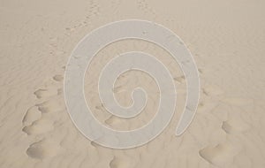 Foot steps on the sand, desert