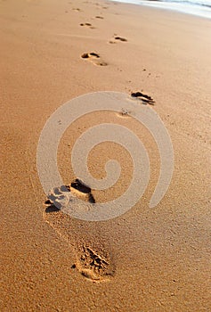 Foot Steps on Sand - Every Journey of Thousand Miles Begins with a Small Step