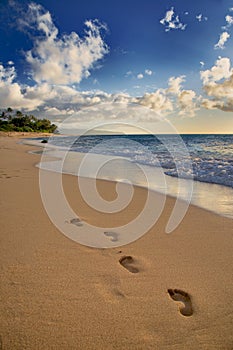 Foot Steps in the Sand