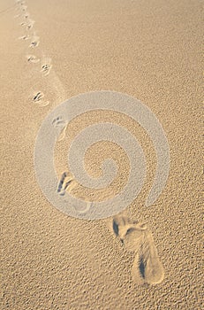 Foot steps in smooth, beige sand
