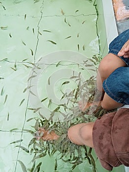 Foot therapy with fish in the pond